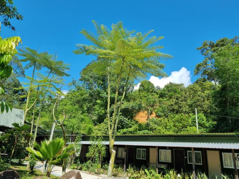 Rock Forest Chalet Bentong Exteriör bild
